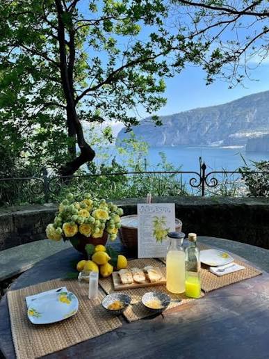 Tall Sorrento lemon trees heavy with fruit in a sun-dappled grove